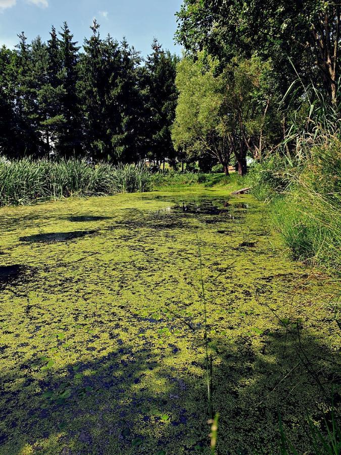 Zielona Samotnia Czaplinek
