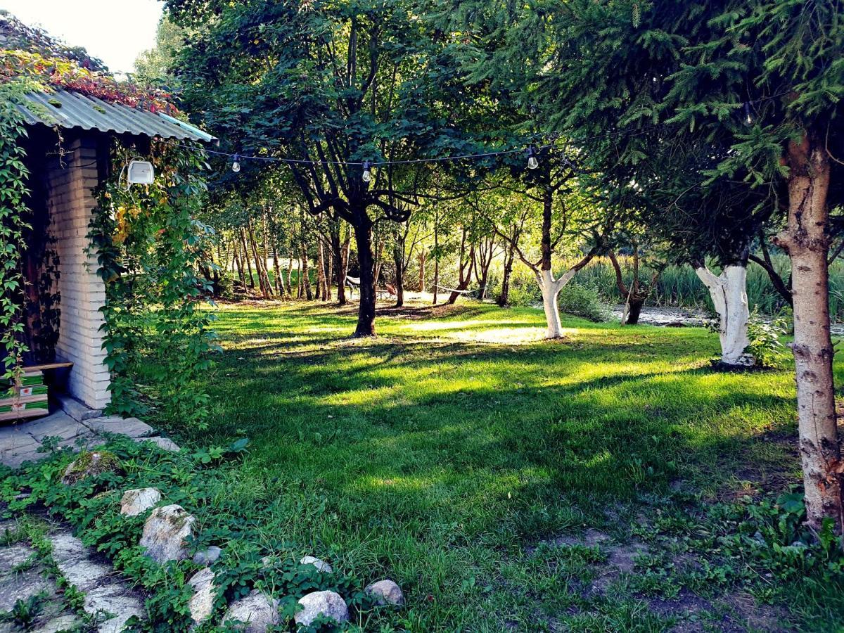 Zielona Samotnia Apartment