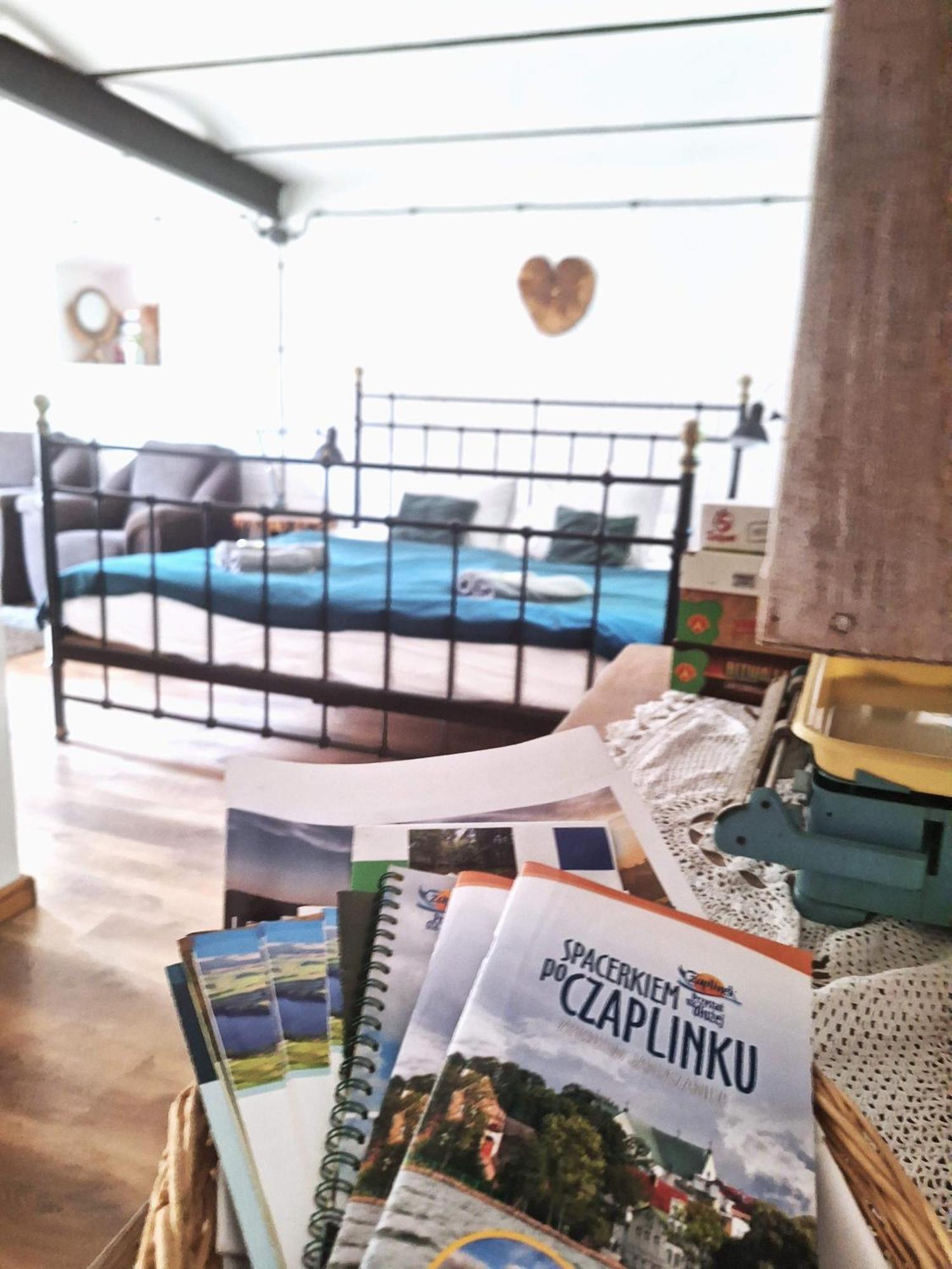 Zielona Samotnia Apartment *